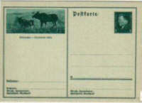 Postkarte Deutsches Reich